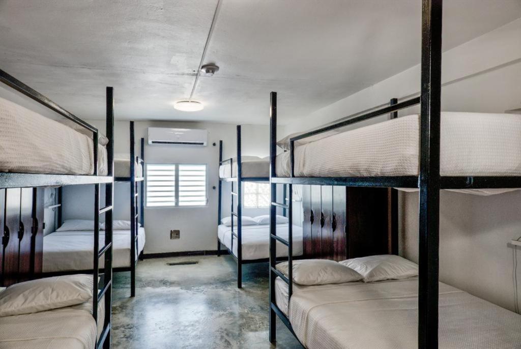 Juliette Hostel Digital Nomad Women Only San Juan Extérieur photo